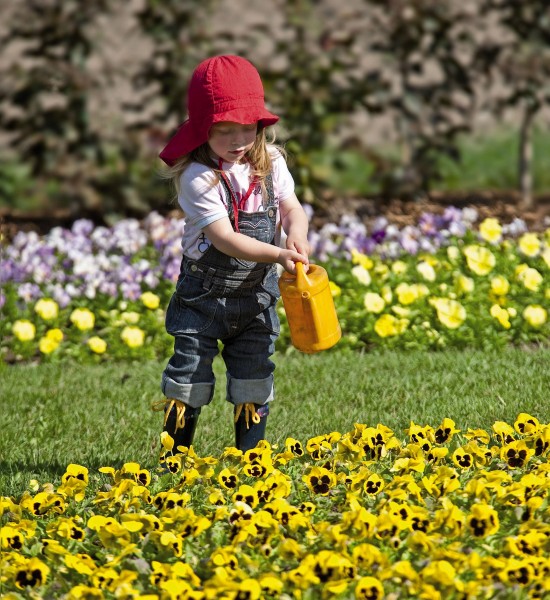 GMH_2011_06_01: Primeln & Co - Frühjahrsblüher bringen Farbe in den Garten