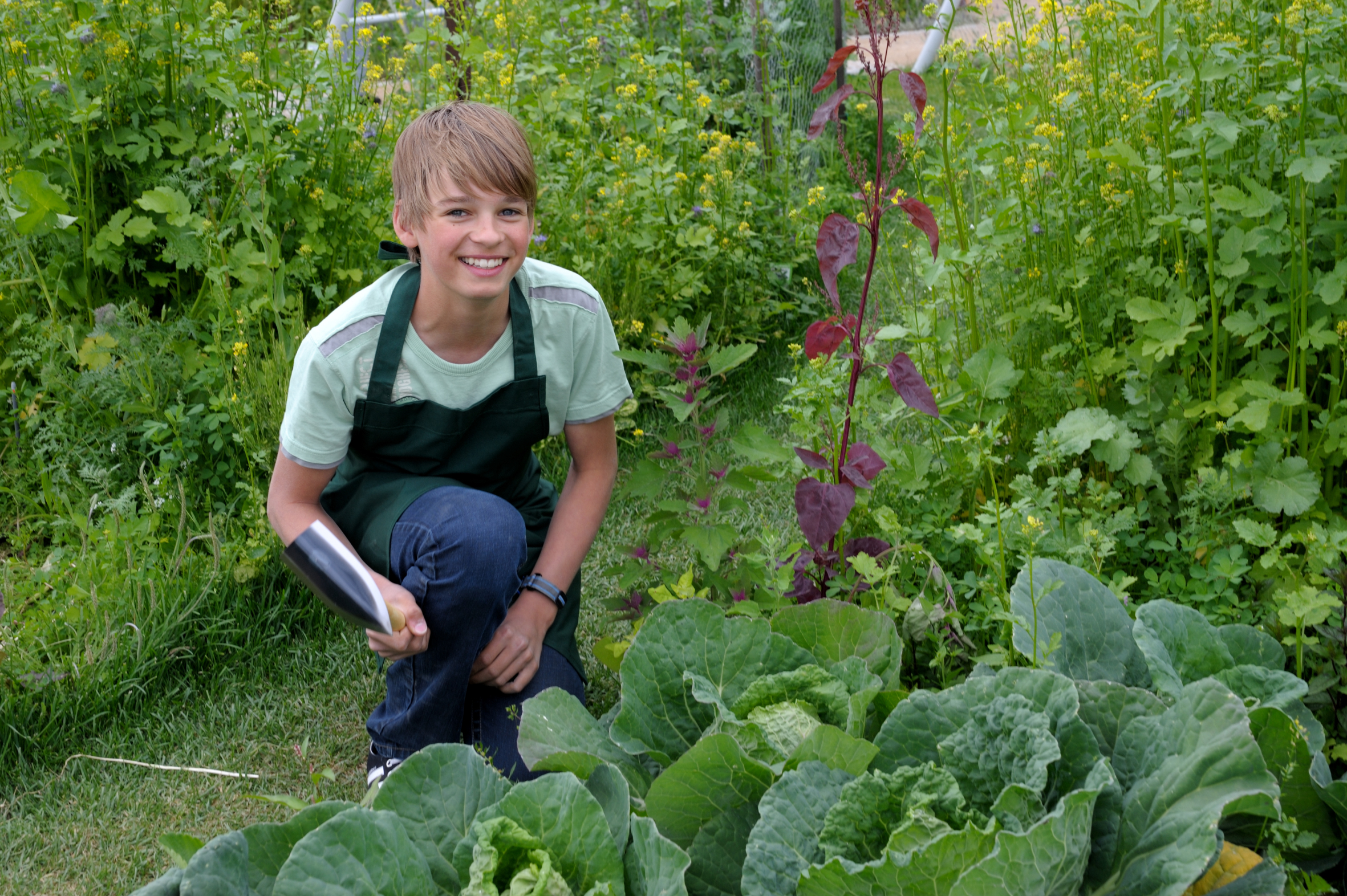 Genießer schätzen Gemüse aus der Region und dem eigenen Garten