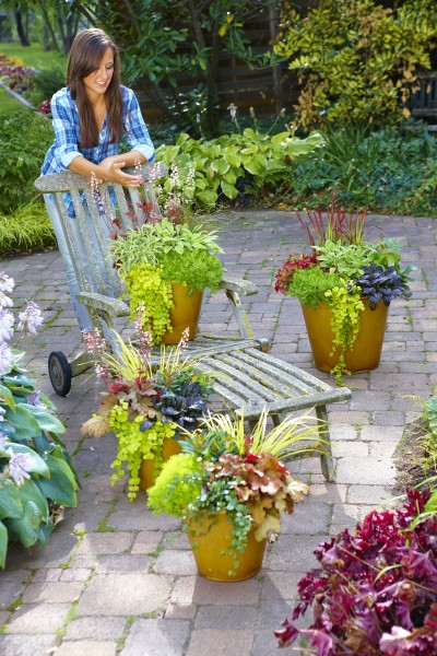 Willkommen Herbst! Dekorative Pflanzen für Beet, Kübel und Kasten