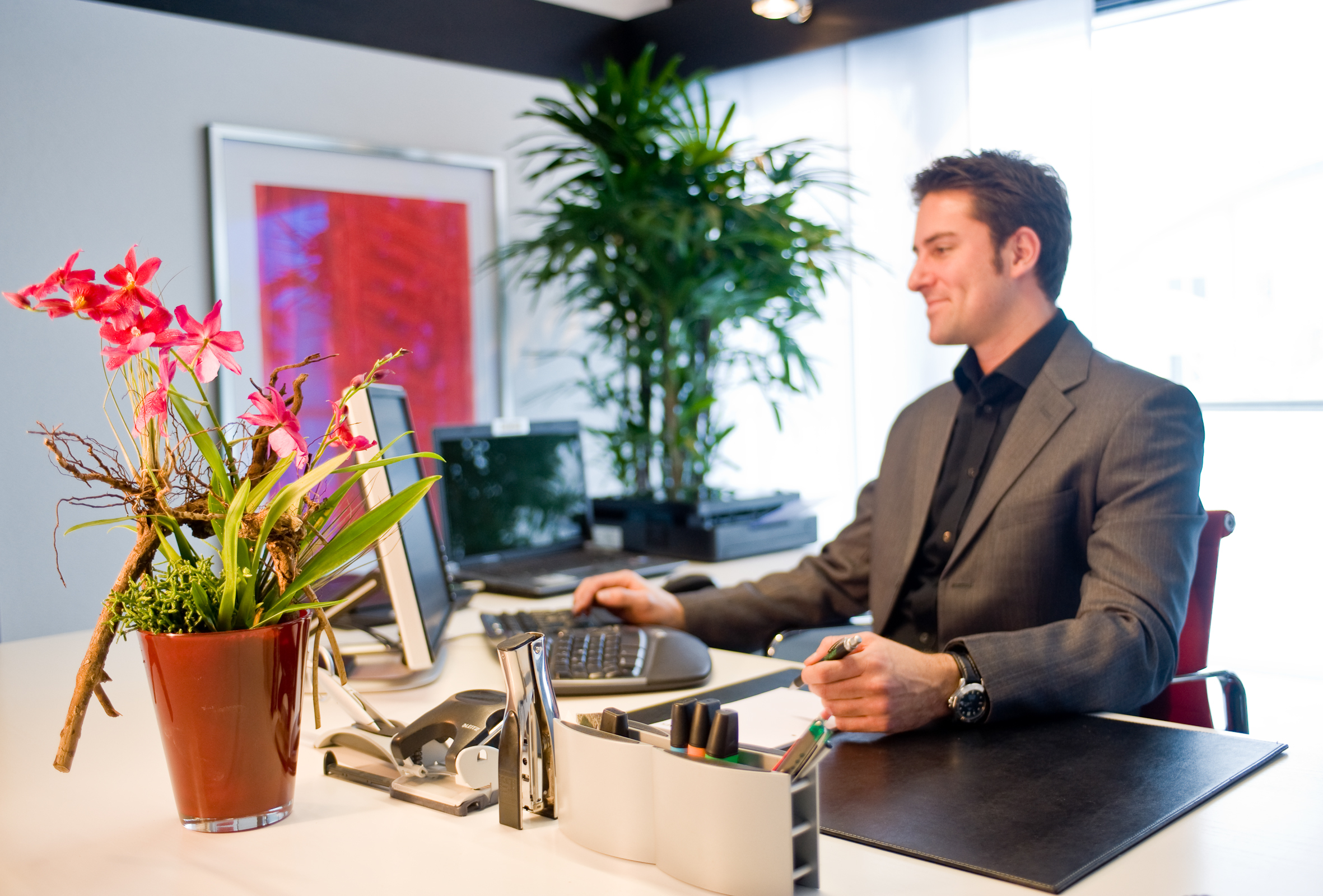 Pflanzen im Büro