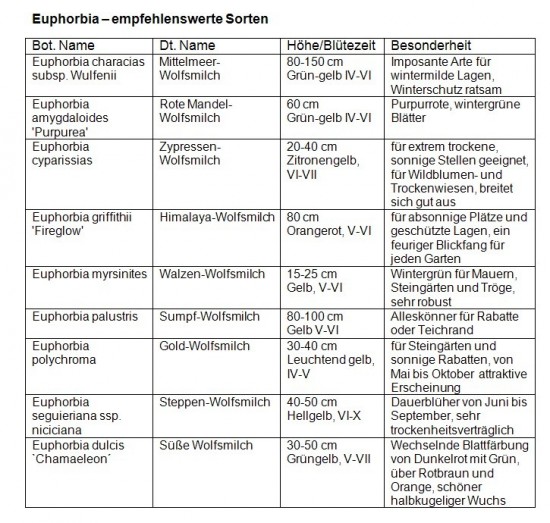 Mediendienst_Stauden_08_2012_Tabelle_Euphorbia_empfehlenswerte Sorten