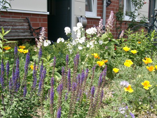 13_03 Jeden Sommer einen neuen Garten