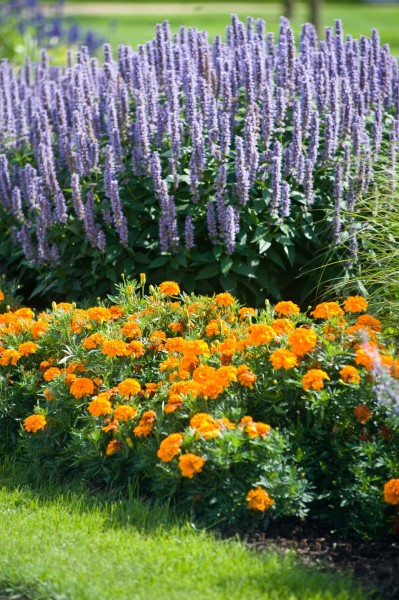 13_05 Jeden Sommer einen neuen Garten