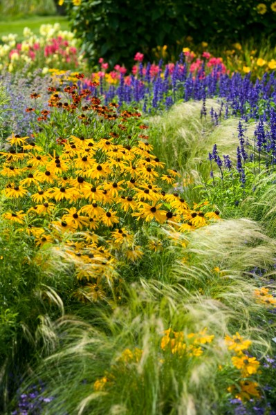 13_06 Jeden Sommer einen neuen Garten