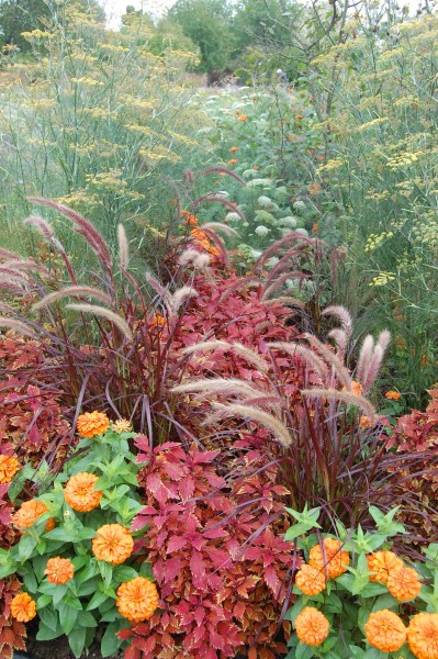 13_09 Jeden Sommer einen neuen Garten