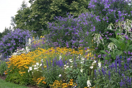 13_11 Jeden Sommer einen neuen Garten