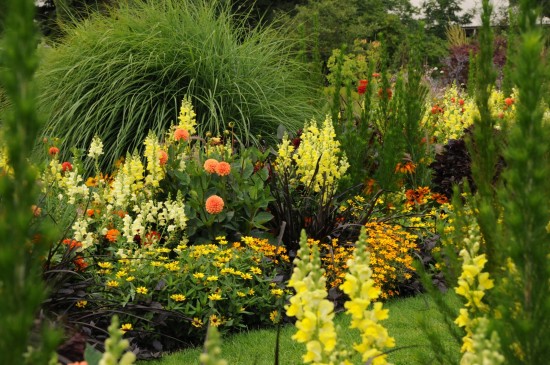 13_12 Jeden Sommer einen neuen Garten