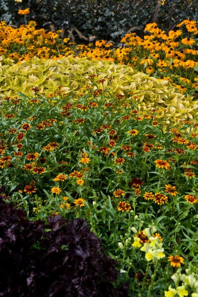 13_13 Jeden Sommer einen neuen Garten