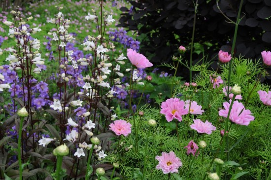 13_15 Jeden Sommer einen neuen Garten