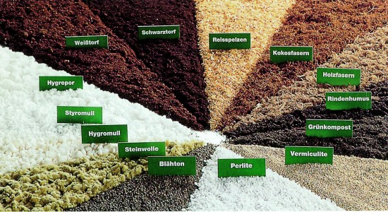 Es grünt so grün? - Hochwertige Blumenerden lassen Pflanzen wachsen und gedeihen