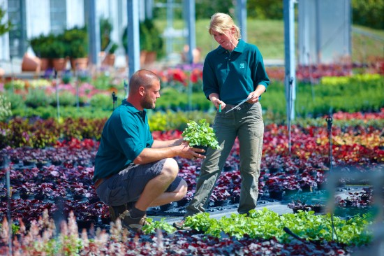 Gärtner - Ein vielseitiger Beruf mit Zukunft