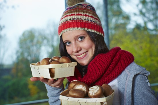 Pilze- Vitamin D-Lieferanten in dunkler Jahreszeit