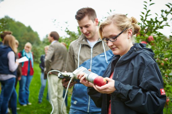 Gärtner - ein naturverbundener Beruf für technisch Interessierte