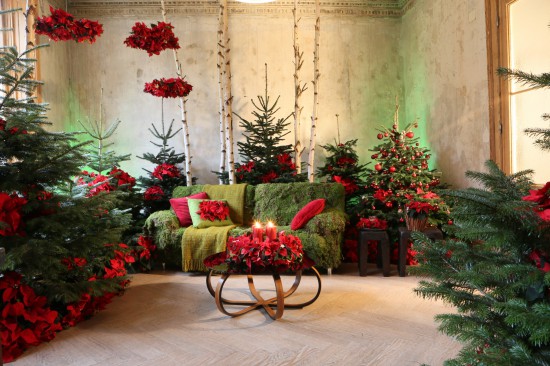 "Once Upon a Star": Märchen-Arrangements mit dem Weihnachtsstern lassen Räume in moderner weihnachtlicher Pracht erstrahlen