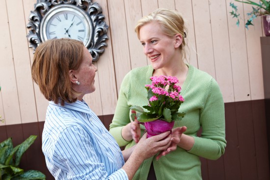 Kalanchoe bringt wochenlang Farbe ins Haus