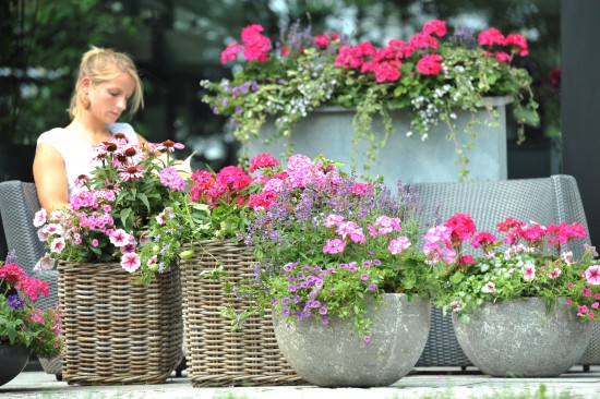 Top(f)favoriten - Die passenden Pflanzgefäße bringen Beet- und Balkonstars ganz groß raus