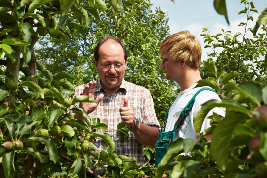 Gärtner im Obstbau arbeiten im Früchteparadies