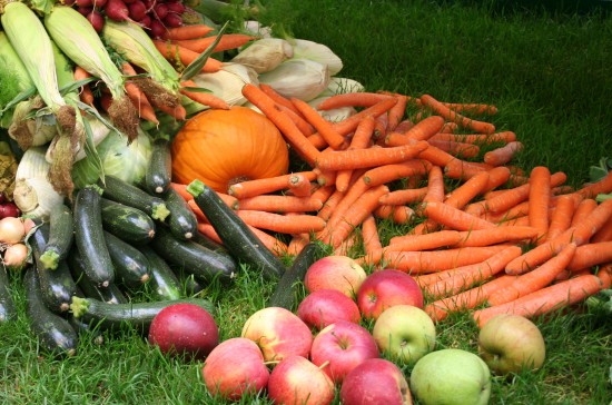 Äpfel bekommen auf der Bundesgartenschau eine Hauptrolle