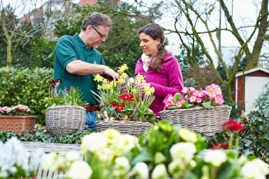 Der Garten im Frühjahr