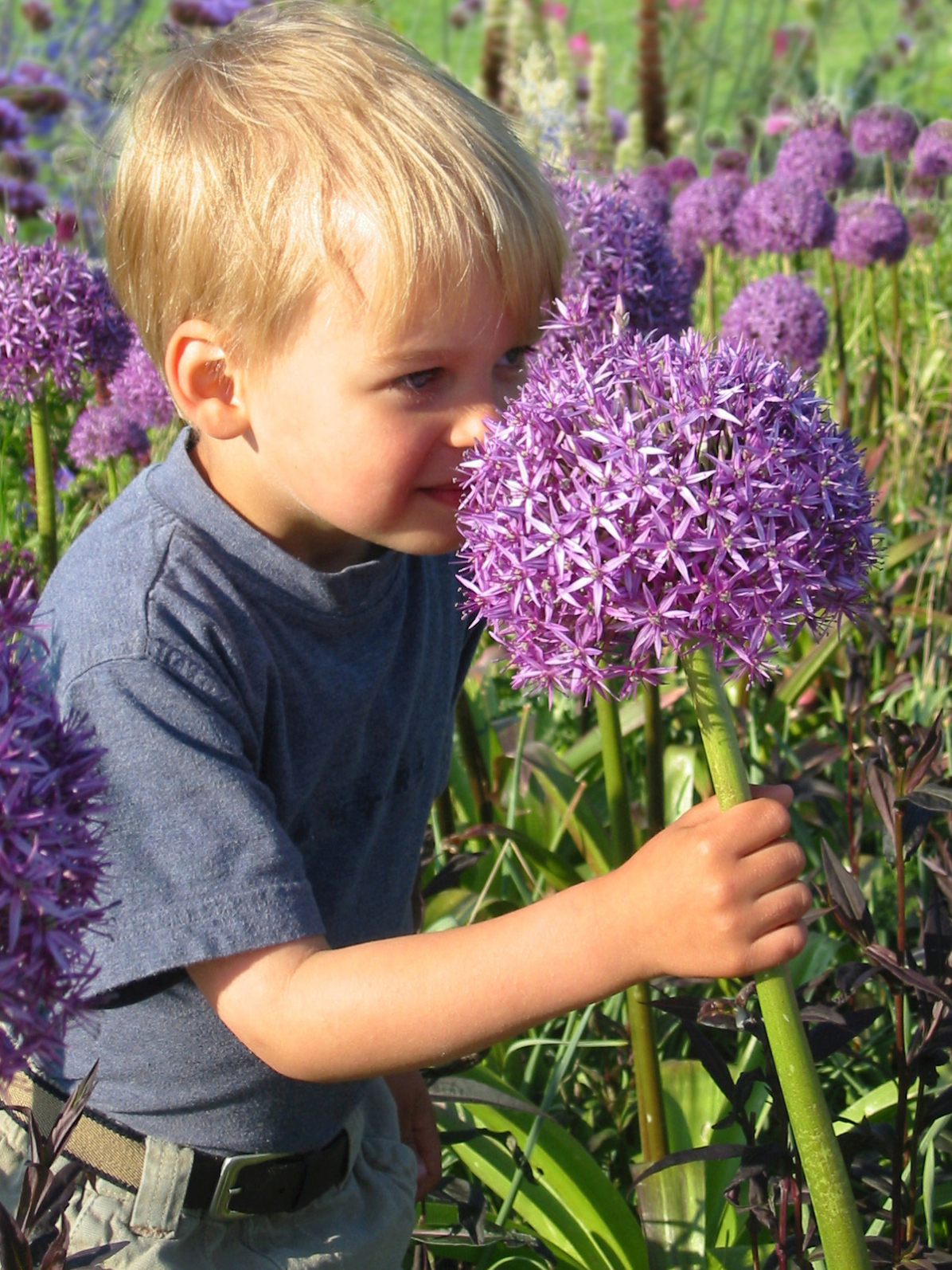 Kinderfreundliche Pflanzen - Viele attraktive Arten regen zum Riechen, Anfassen und Basteln an. Die besten Tipps vom Premium-Gärtner.