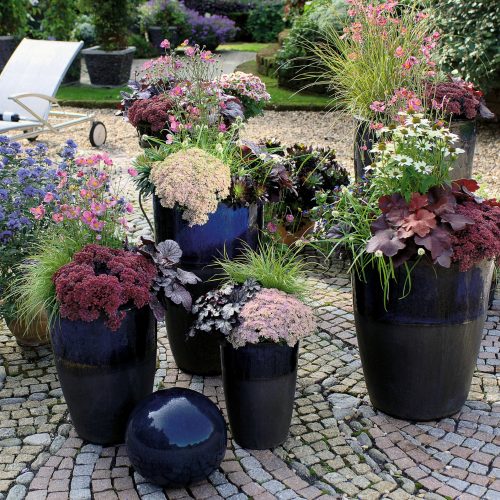 Pflanzen im Herbst Archive - Seite 2 von 3 - Das Grüne Medienhaus