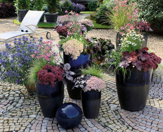 Herbstzauber für Garten und Balkon