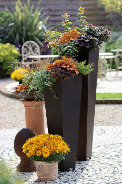 Herbstzauber für Garten und Balkon