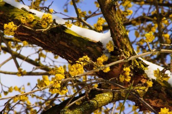 Ein Hauch von Frühling