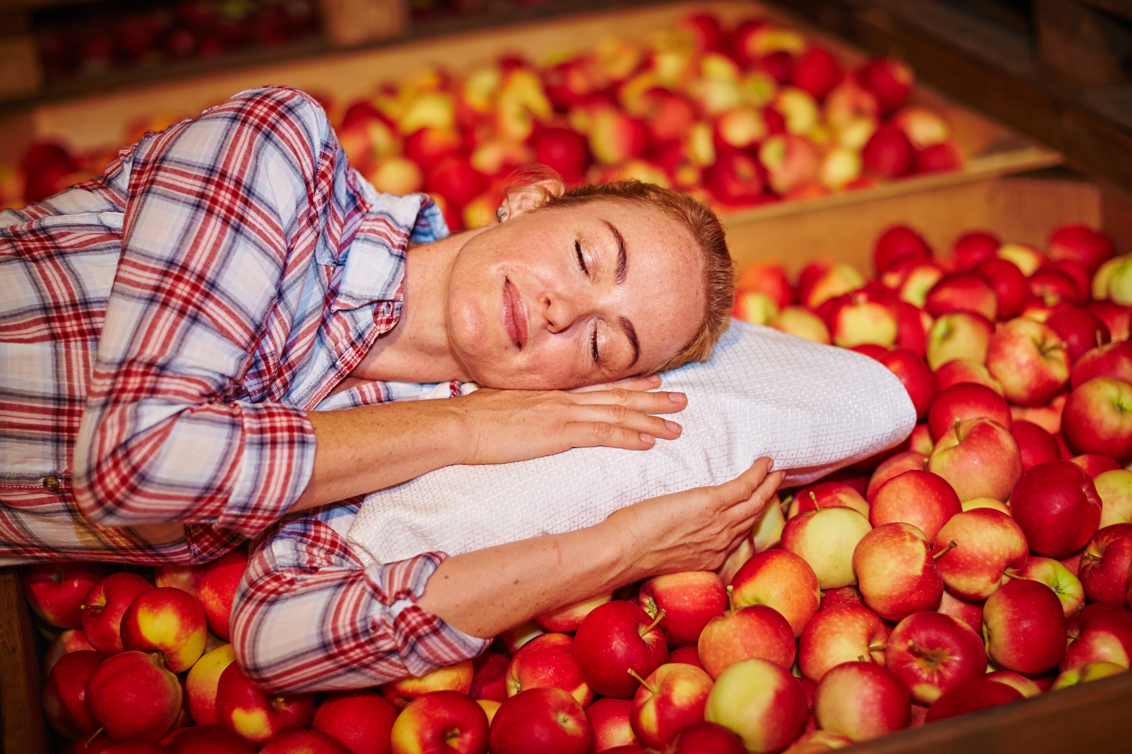 Winterschlaf hält heimische Äpfel lange frisch