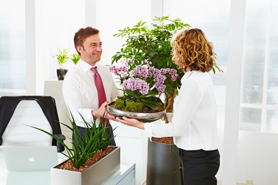 Blumen zum Weltfrauentag  aber achten Sie auf die Zahl der Blüten