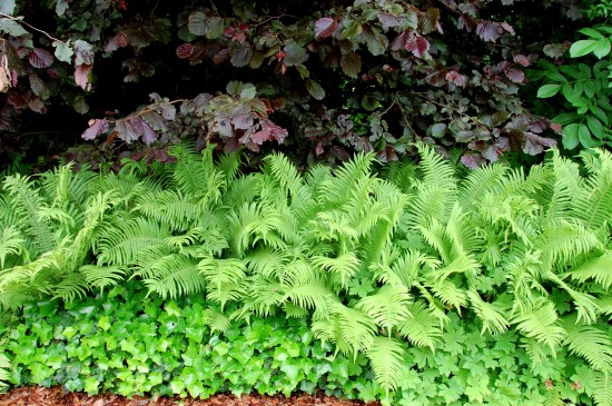 Stulpen für die Hecke