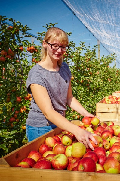 Was macht eigentlich ein Profi-Gärtner im Herbst?