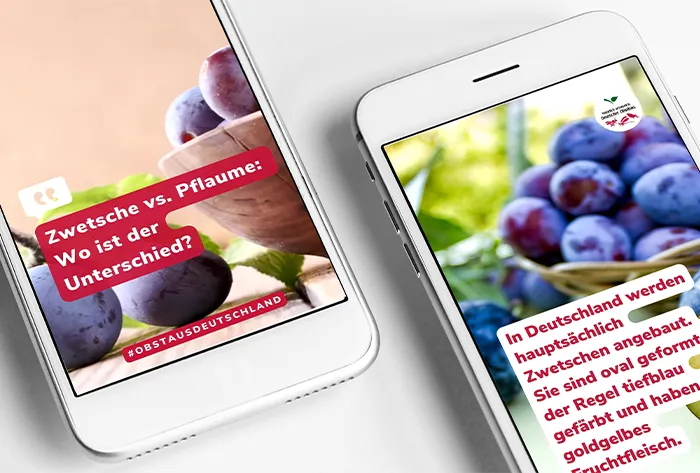 Obst_aus_Deutschland