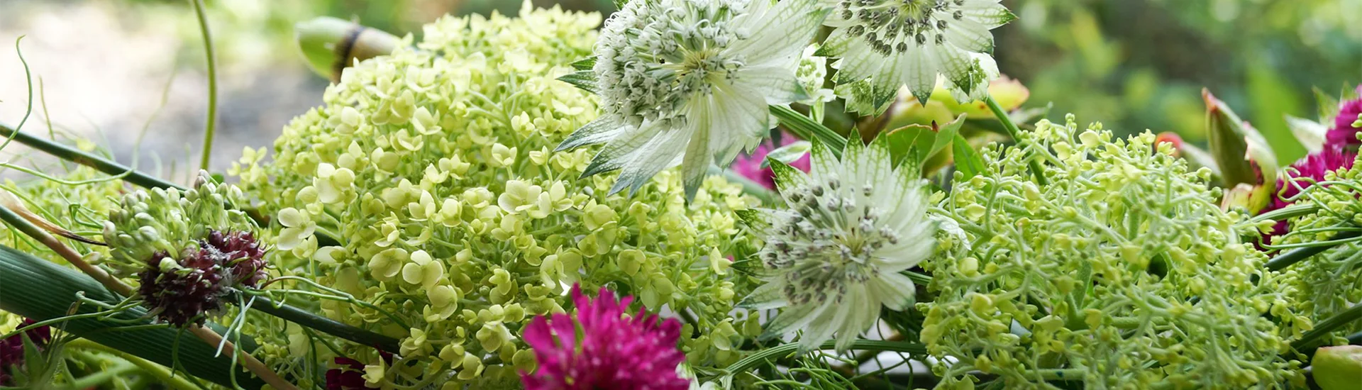 Vom Beet in die Vase: Stauden als Schnittblumen