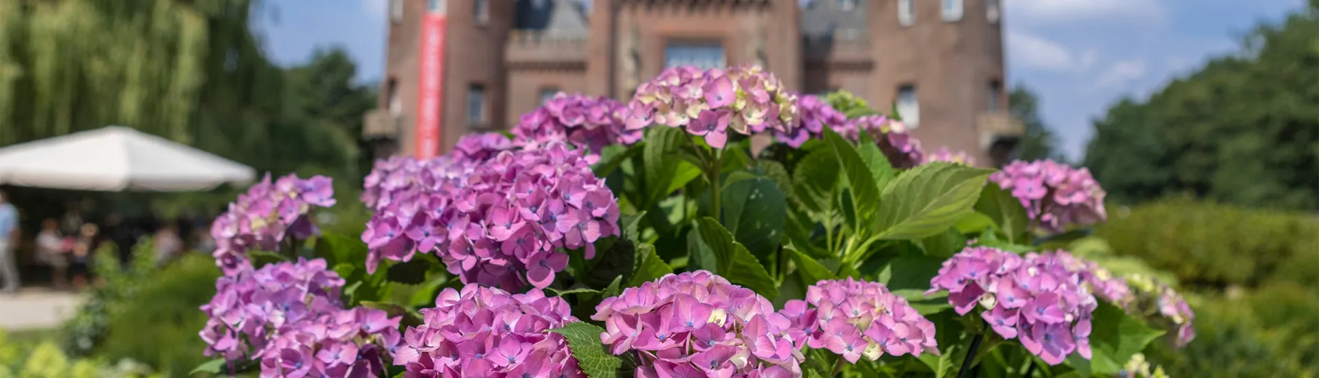 Hortensienfest Schloss Moyland