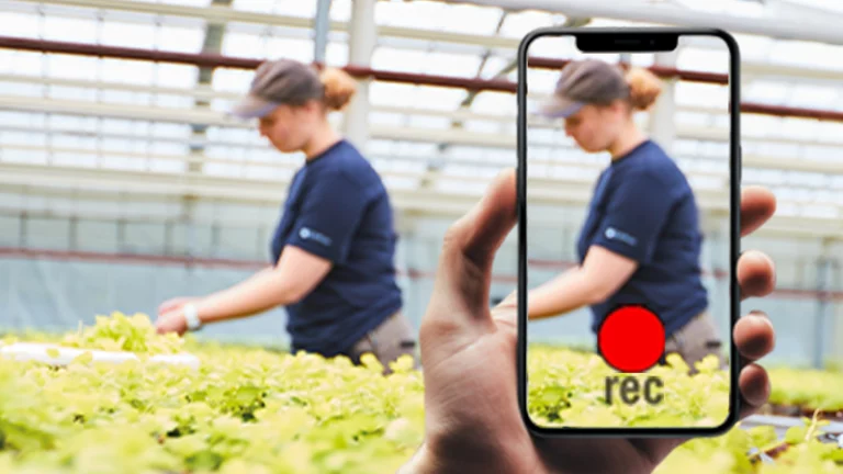 Videocontent der bewegt