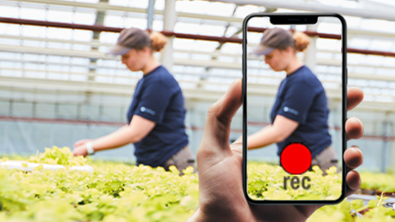 Videocontent der bewegt