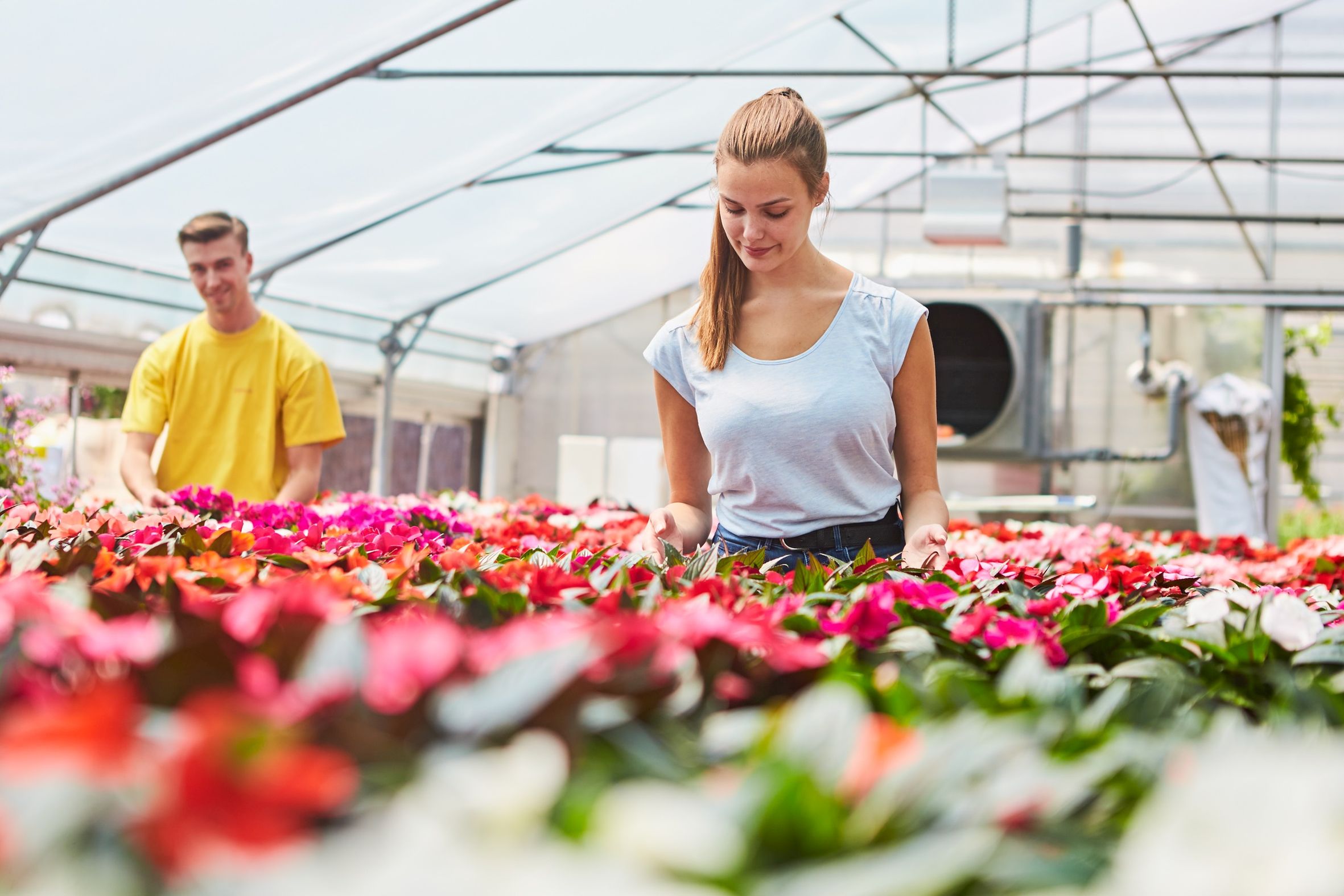 Gärtnern für die Umwelt. Nachhaltigkeit im Berufsalltag