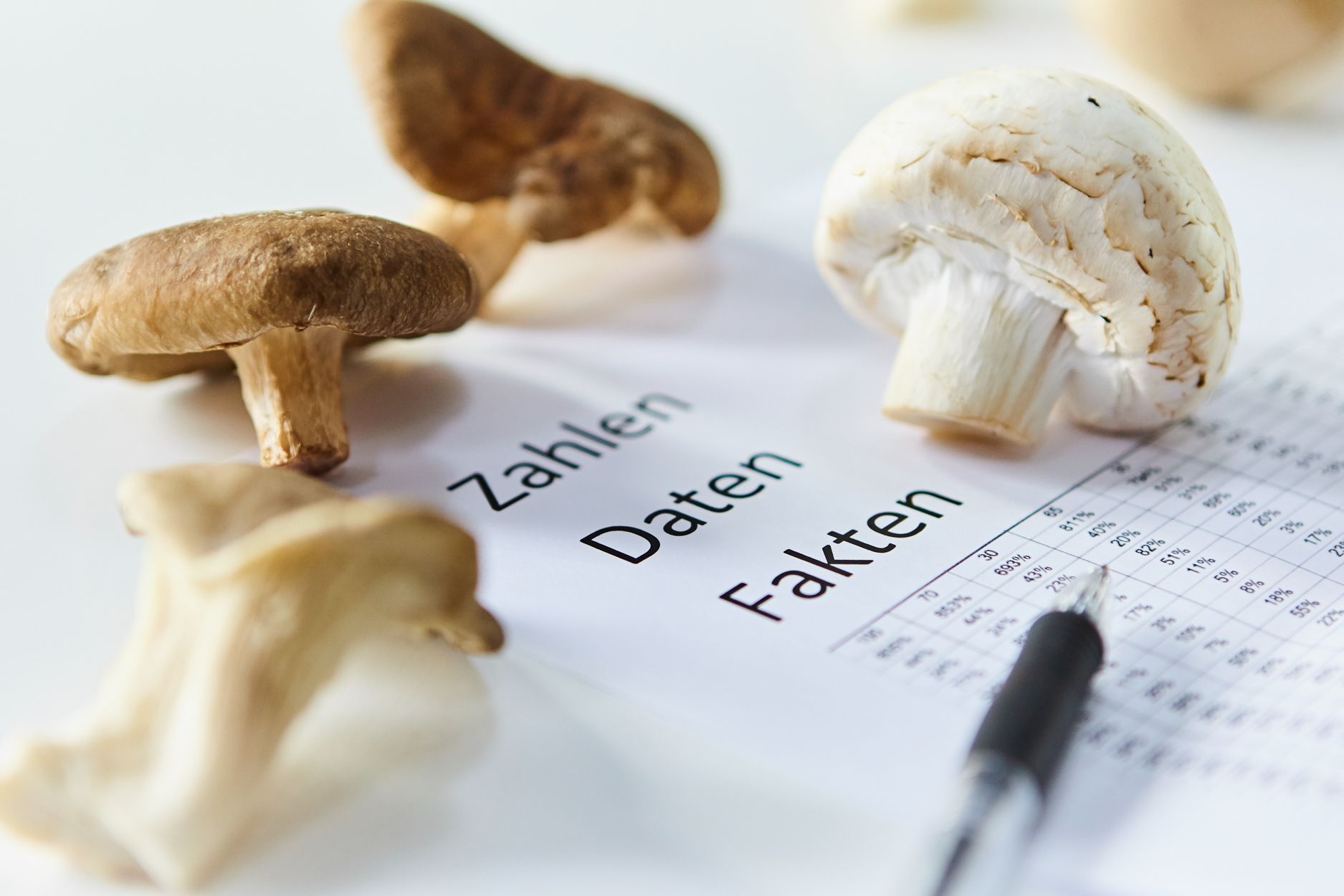 Speisepilze im Trend: Pro-Kopf-Verbrauch von Champignons gestiegen und mehr Edelpilze aus deutscher Produktion