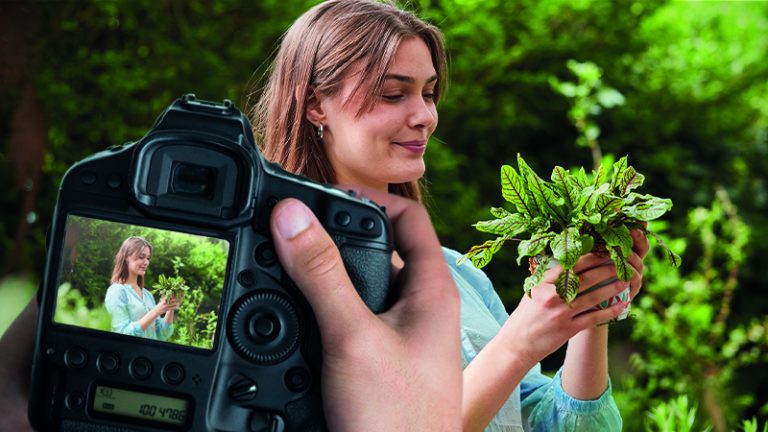 Die Macht des Bildes