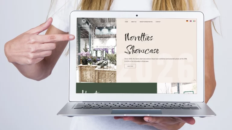 Neuheitenschaufenster – jetzt mit eigener Website