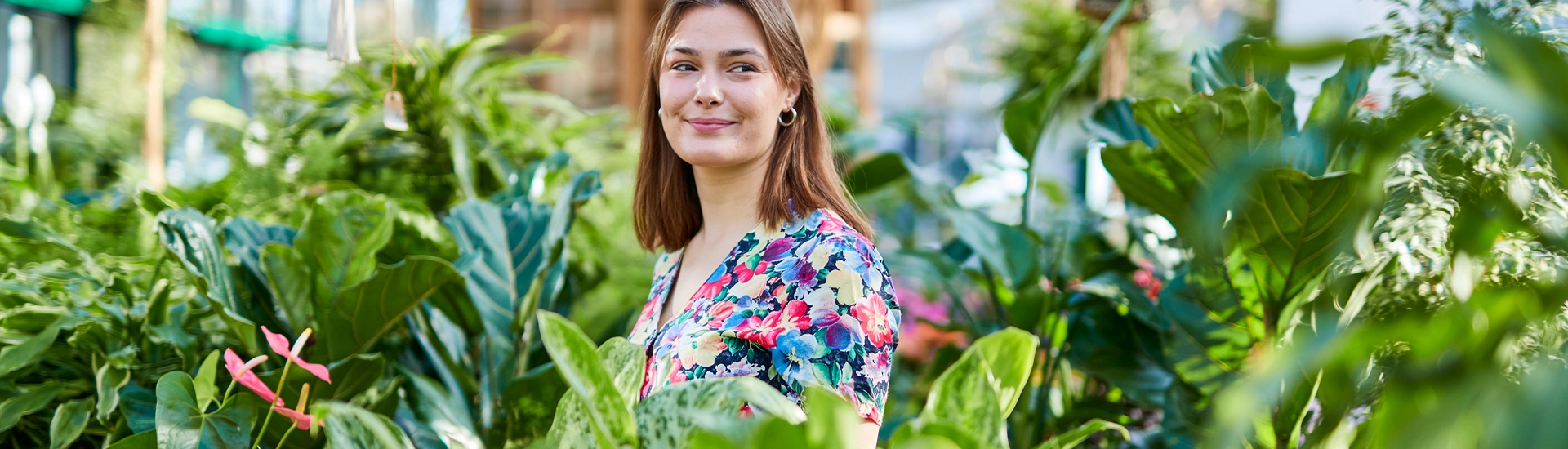 Mit Grünpflanzen das Zuhause richtig gemütlich machen