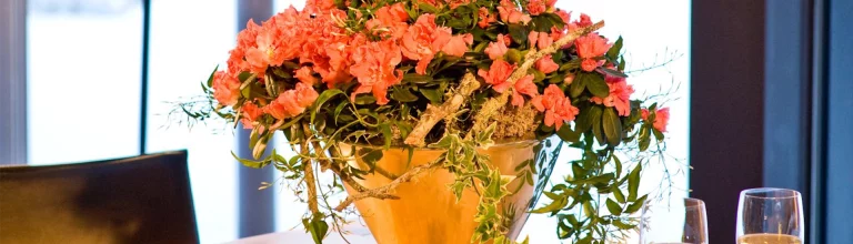 Valentinstag als fröhlicher Auftakt