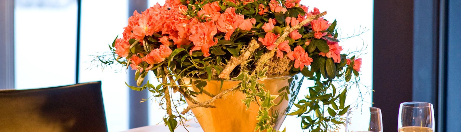 Valentinstag als fröhlicher Auftakt