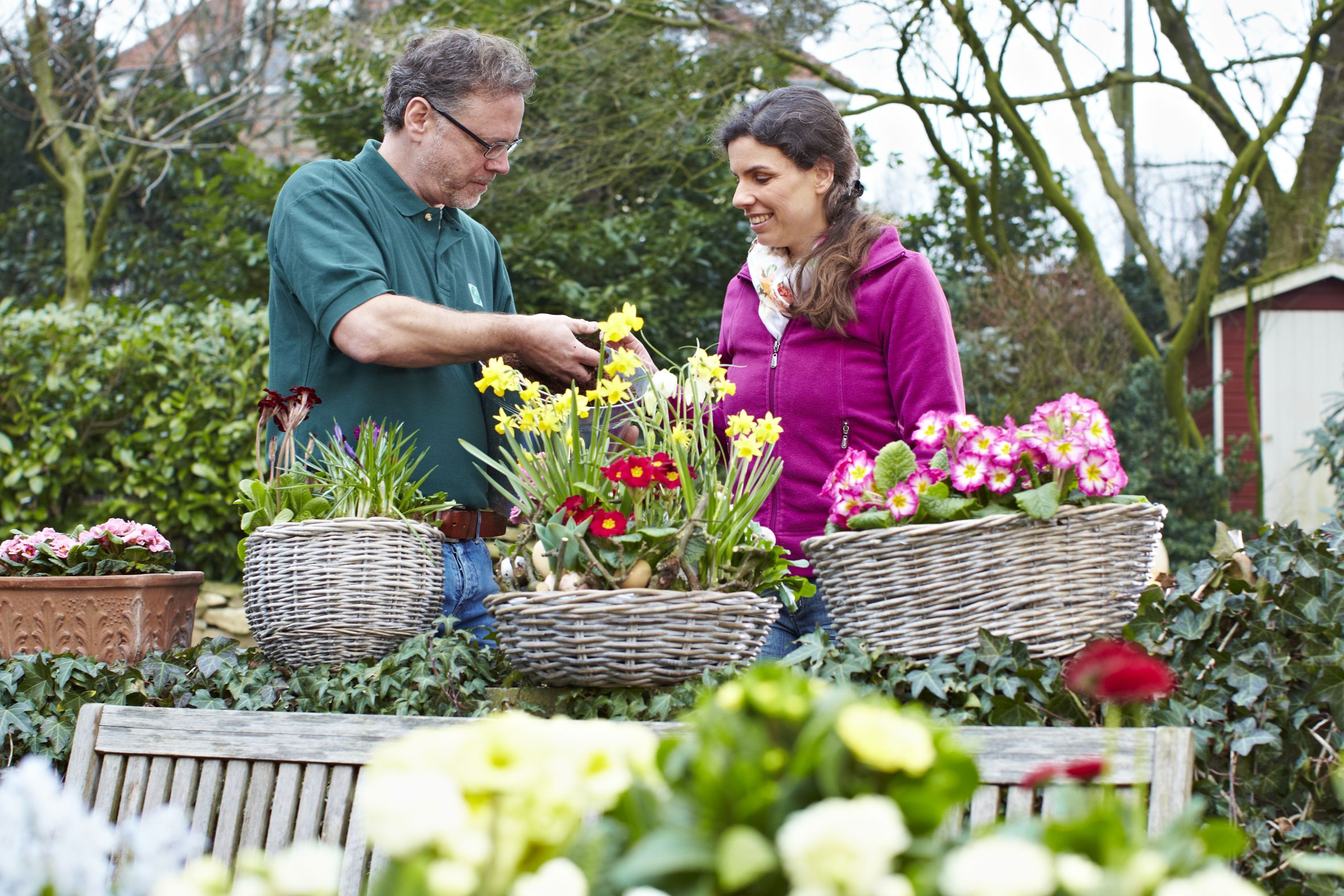 Qualität, die aufblüht. Deutsche Gärtner setzen auf robuste Frühblüher