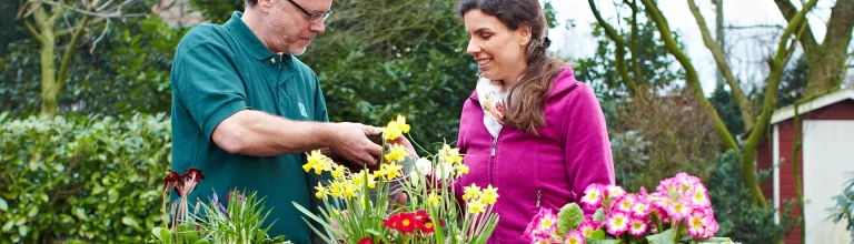 Qualität, die aufblüht. Deutsche Gärtner setzen auf robuste Frühblüher