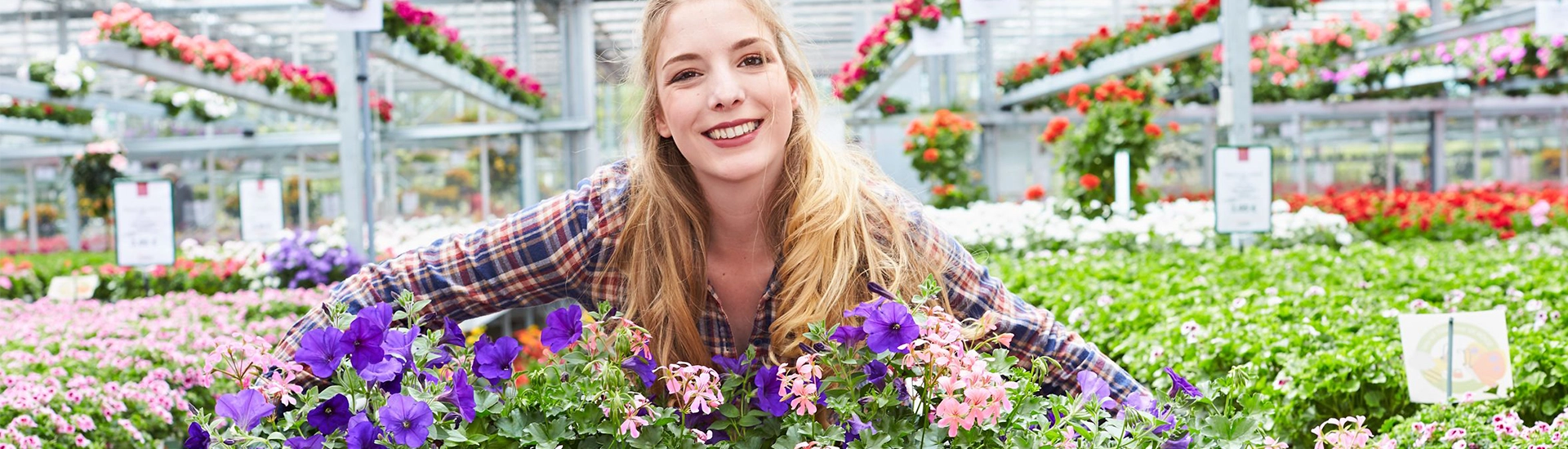 Beet- und Balkonsaison_2026