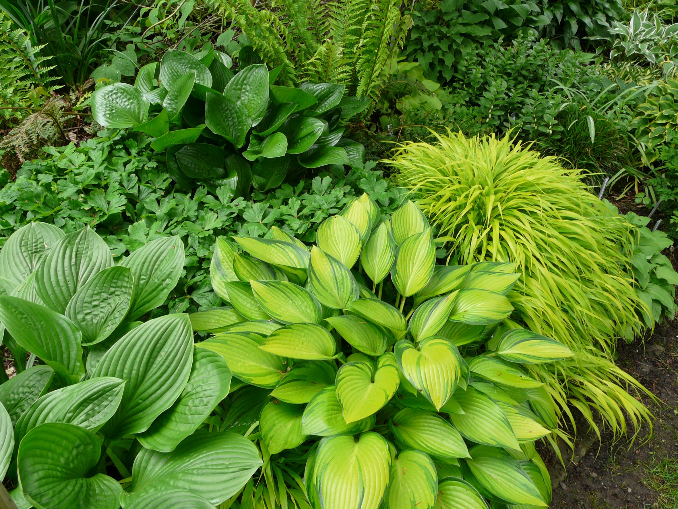 Alles Gute kommt von unten – der Boden als Basis für Blüten und Blätter